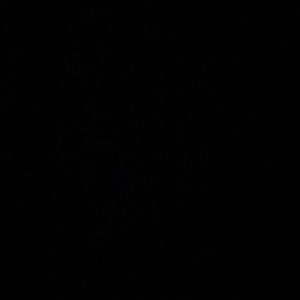 Meet your Posher, Verenice